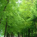 전원풍경 이미지