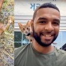 드럼통고양이 이미지