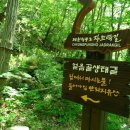 내서IC주유소 이미지