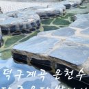 패밀리원탕 네이버블로그