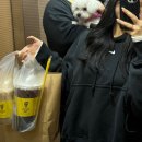 햄뚱샵 | 이솜 최애달 1월 정산