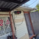 석교인력 | 천안폐기물 정리 고민 끝, 늘푸른환경 덕분에 한결 가벼워진 하루