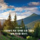 레몬세탁 | 멜라루카🌿수정 레몬 브라이트 레몬&amp;애플 소비자의 사용 후기