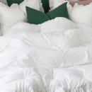 헬로우 그루밍 이미지