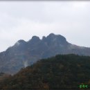 덕주펜션.민박 티스토리