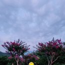 서재체육공원 이미지