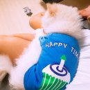 노랑통닭시흥정왕
