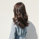 플랜헤어 이미지