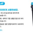 하우픽스 이미지