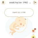 뽀끔