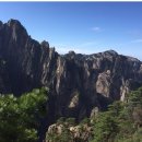황산야채