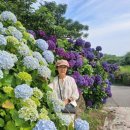 동광리-19 이미지