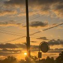 성샘목장 | 올해 마지막 제주여행 끝