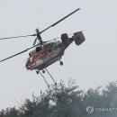 울주 산불 완전 진화됐대 이미지