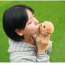 (주)일뚝집 | 인천애견분양 귀여운 강아지와 만나다