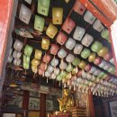 진주 월명암 목조아미타여래좌상 | [전남] 2026, 봄꽃여행 … 1. 장성 백양사 - ③ 백양사