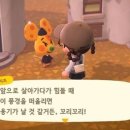신발여행2 이미지