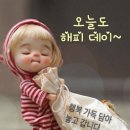 오늘의행복