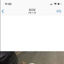 최재호 한방동물병원 이미지