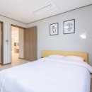 테리하우스 이미지