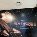 매리맥딜런미술학원 | [전시/공연]셀럽이 사랑한 BAG & SHOES