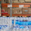 리얼코리아(주) | 오늘의 코스트코 장보기 리얼 후기@영수증인증