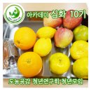 성곡축산 | [포항시 신활력플러스 아카데미] 심화 10기 개강, 액션그룹 2단계 모집 중! +청년모임 뱅쇼만들기!