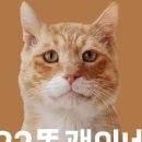 이삼농장 이미지