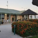 스트로마톨라이트 이미지