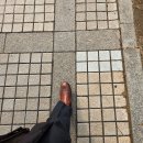 서울고등법원 | [서울고등법원] 민사 항소심 출석 후기