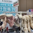 (주)협성펫 | 2025 메가주 펫페어 일산 킨텍스 메가주 이벤트 할인 행사 참여업체 1탄