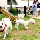 카페미밍코 이미지