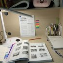 약용작물센터 | 2026년 버섯종균기능사 시험일정, 필기 실기 후기, 합격률, 과목별 공부법