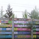 행정용 8 이미지