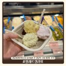 강남역 | 강남젤라또맛집 팔레트젤라또 | 당 충전하러 간 강남역 수제 젤라또 후기