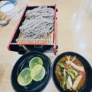 미진 | 서울 광화문 미진후기 미쉐린 빕구르망 선정맛집, 메밀과 돈까스 조합후기