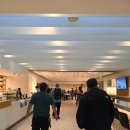 샌프란시스코에서 서울로 에어프레미아 sfo공항 이용 꿀팁 카페 맛집