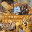 독일베이커리 | 서울대입구 빵집 추천｜독일 발효종 베이커리 박쿤스트 재방문 후기