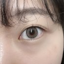 이우(e_woo) | [이우뷰티] 수원속눈썹펌 손상없이 잘하는 뷰티샵 : 짧은 속눈썹 후기