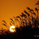 에코리조트 이미지