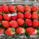 하나로마트 호암행복지점 이미지