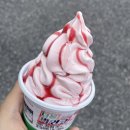 백산 태권도 | 2023.08 (2)