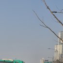 광교호수공원로 이미지