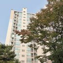 신월동010 이미지