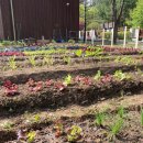 하나로농장-2 이미지