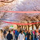 양양군 야구장 이미지