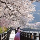 창녕 영산 만년교 이미지