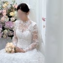 본식 드레스 벨에포크 후기(레이스 맛집) 추가금 있음!!