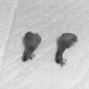 아마존동물병원 이미지