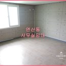 연제구-145 이미지